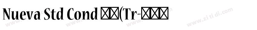 Nueva Std Cond 粗体(Tr字体转换